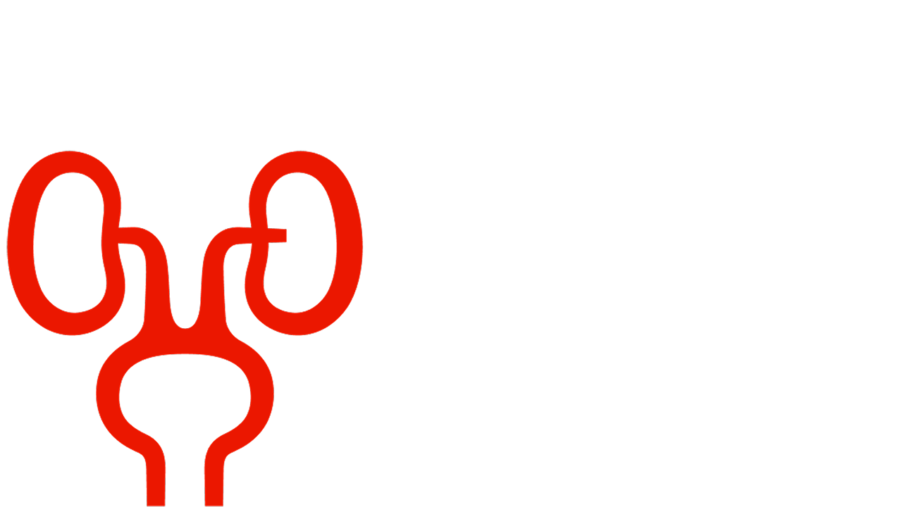 Symbolische Darstellung Nieren bei AL-Amyloidose