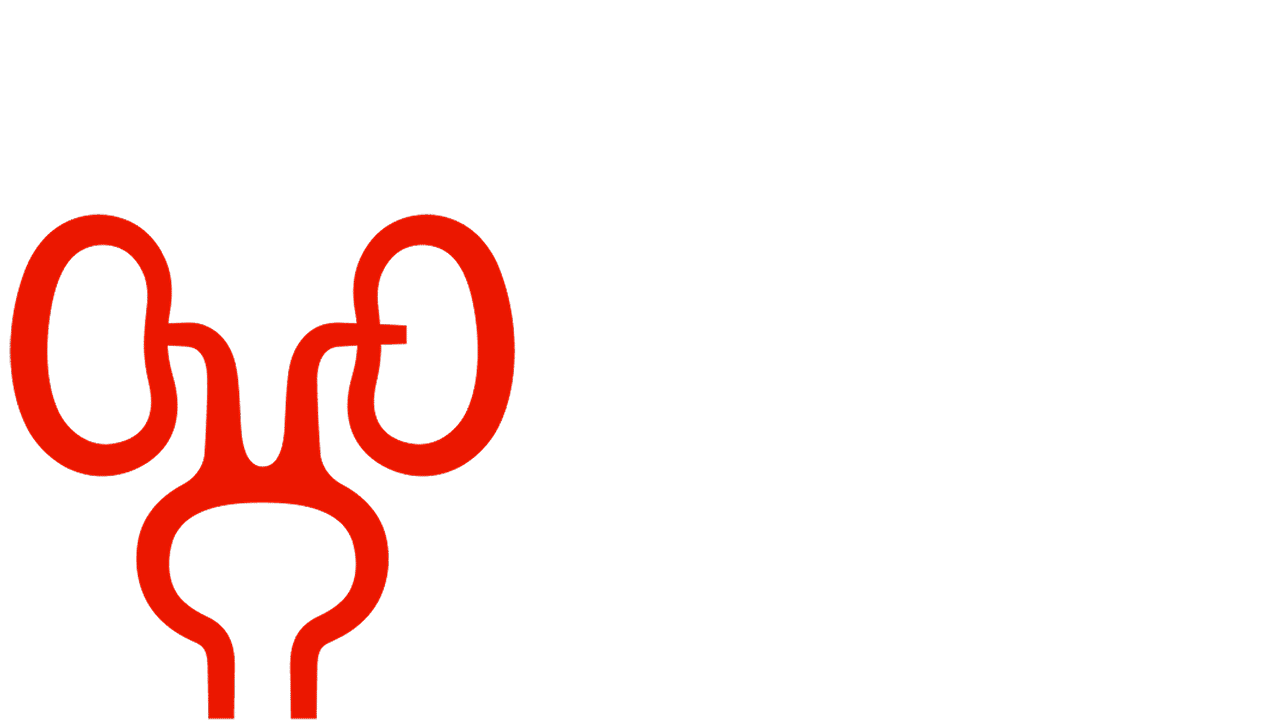 AL-Amyloidose Nierensymptome Symbolische Darstellung Nieren bei AL-Amyloidose