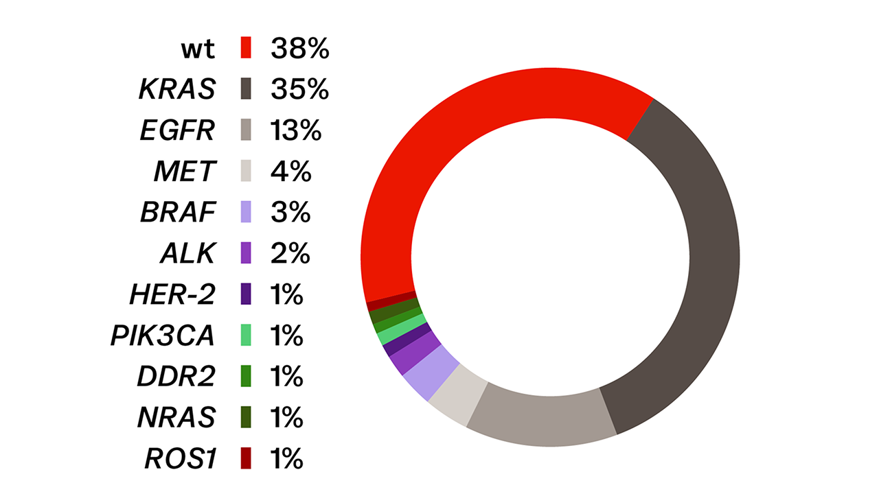 Häufigkeiten genetischer Alterationen beim Adenokarzinom