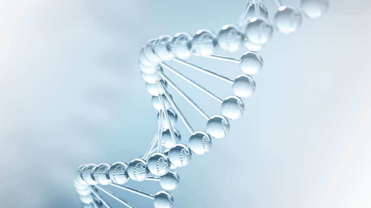 Doppel-Helix vor weißem Hintergrund.