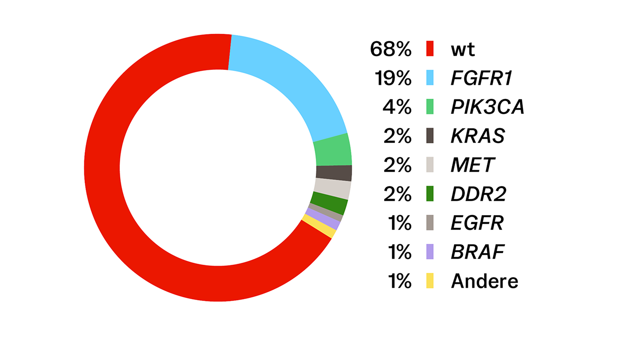 Häufigkeiten genetischer Alterationen beim Plattenepithelkarzinom Häufigkeiten genetischer Alterationen beim Plattenepithelkarzinom