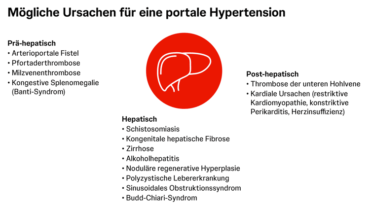 lebererkrankungen-pah-1 lebererkrankungen-pah-1