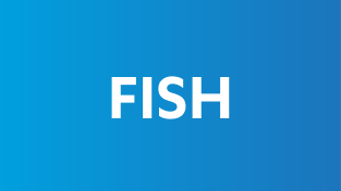 Molekulardiagnostische Methoden – FISH