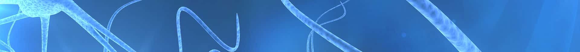 neuroscience_banner_1920x175_206 neuroscience_banner_1920x175_206