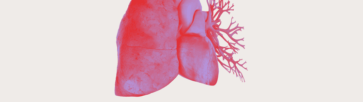 ta-pulmonale-hypertonie-risikogruppen-banner ta-pulmonale-hypertonie-risikogruppen-banner