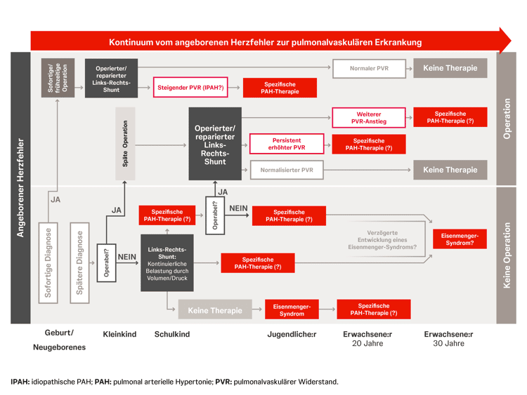 ta-pulmonale-hypertonie-risikogruppen-angeborene-herzfehler ta-pulmonale-hypertonie-risikogruppen-angeborene-herzfehler