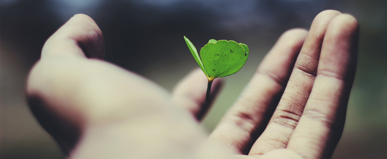 hero banner background image