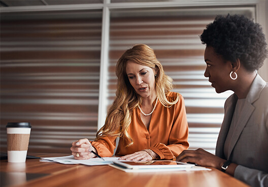 Website information, not advice Two businesswomen talking to each other