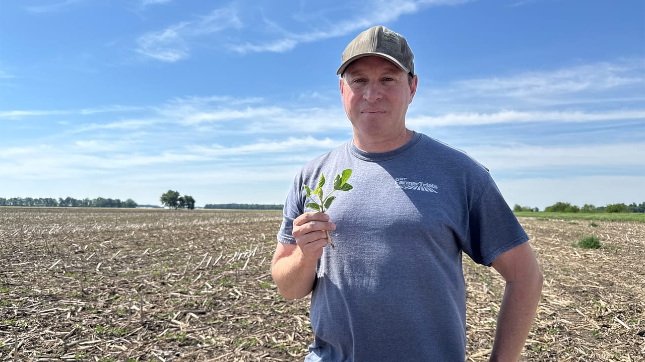 does scott frost chew tobacco Soybean crop looks promising after frost damage concerns does scott frost chew tobacco Soybean crop looks promising after frost damage concerns