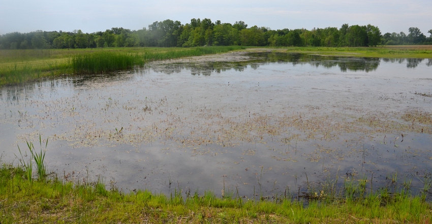 wetland in southern Indiana