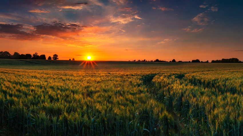  beautiful orange sunset disappears over a large field of wheat