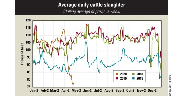 Graph showing the average daily cattle slaughter