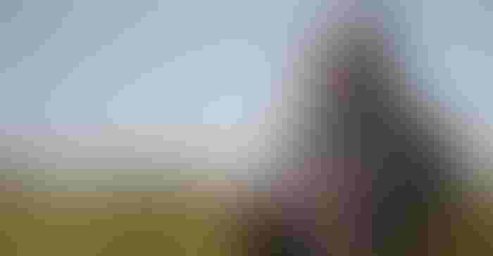 1003H1-1336B-1540x800-Recovered.jpg 1003H1-1336B-1540x800-Recovered.jpg