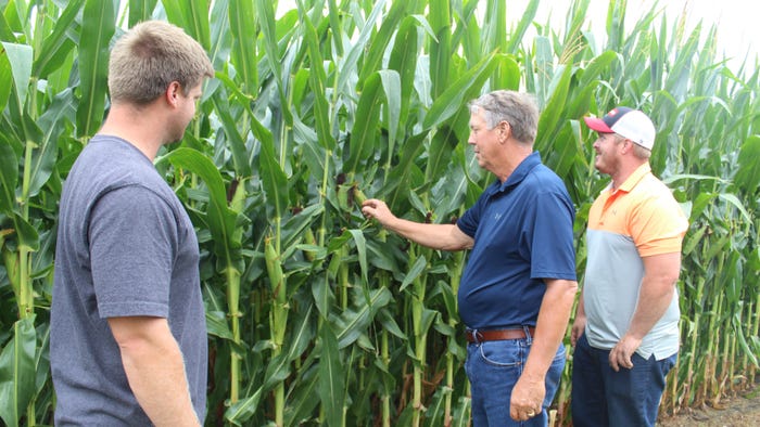 Mark Knudson (center) looking over corn plot with twin sons Matthew and Michael Mark Knudson (center) looking over corn plot with twin sons Matthew and Michael