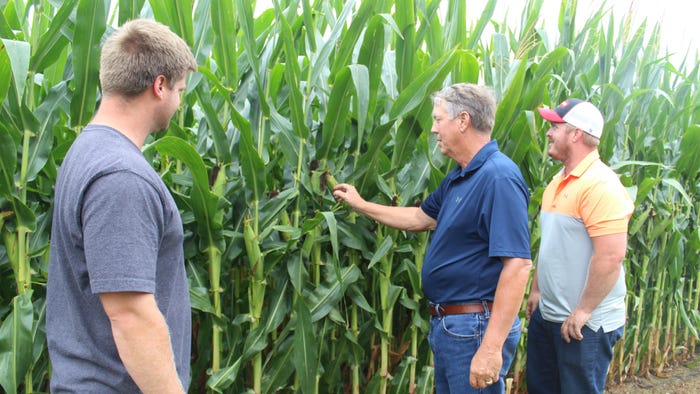 Mark Knudson (center) looking over corn plot with twin sons Matthew and Michael