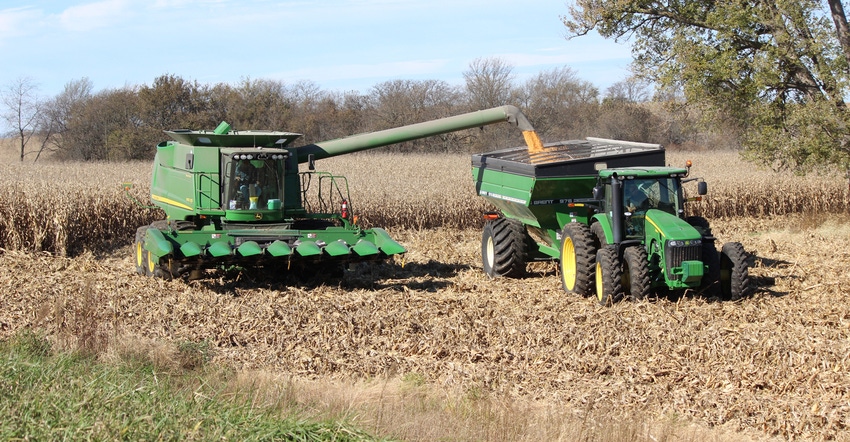 corn being harvested by combine