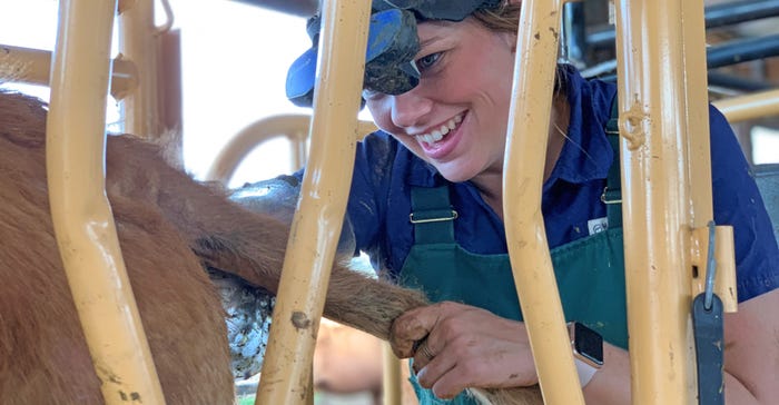 : Bowling Green native and veterinarian Sonja Perry working on cow