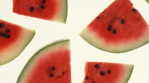 WFP-ARS-watermelon.jpg