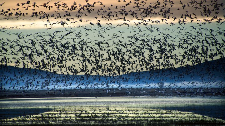 One solution at a time can transform Klamath Basin’s water future