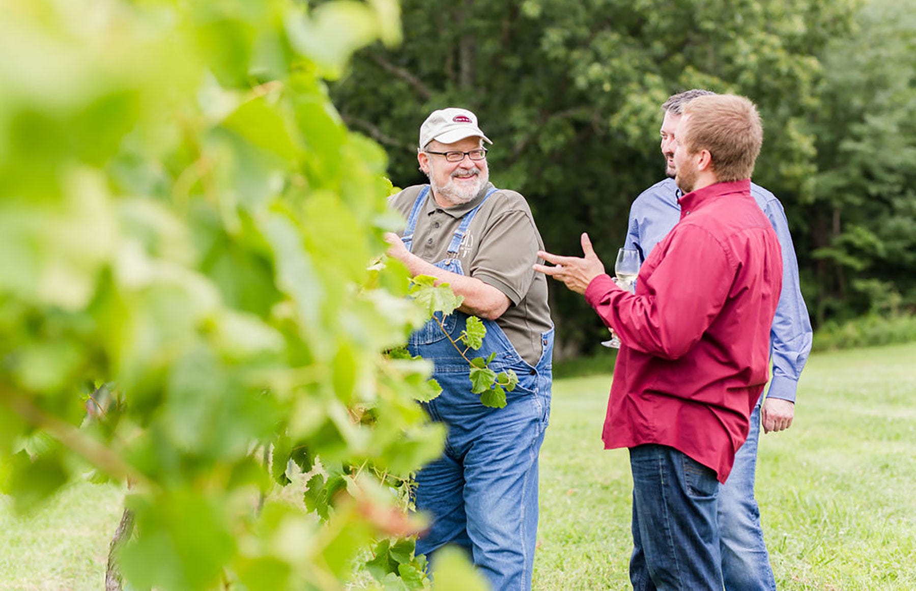 Putcha Winery - Three men enjoying a glass of wine in a vinyard