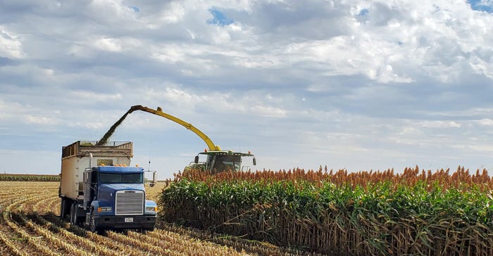 swfp-shelley-huguley-21-forage-sorghum-truck.jpg