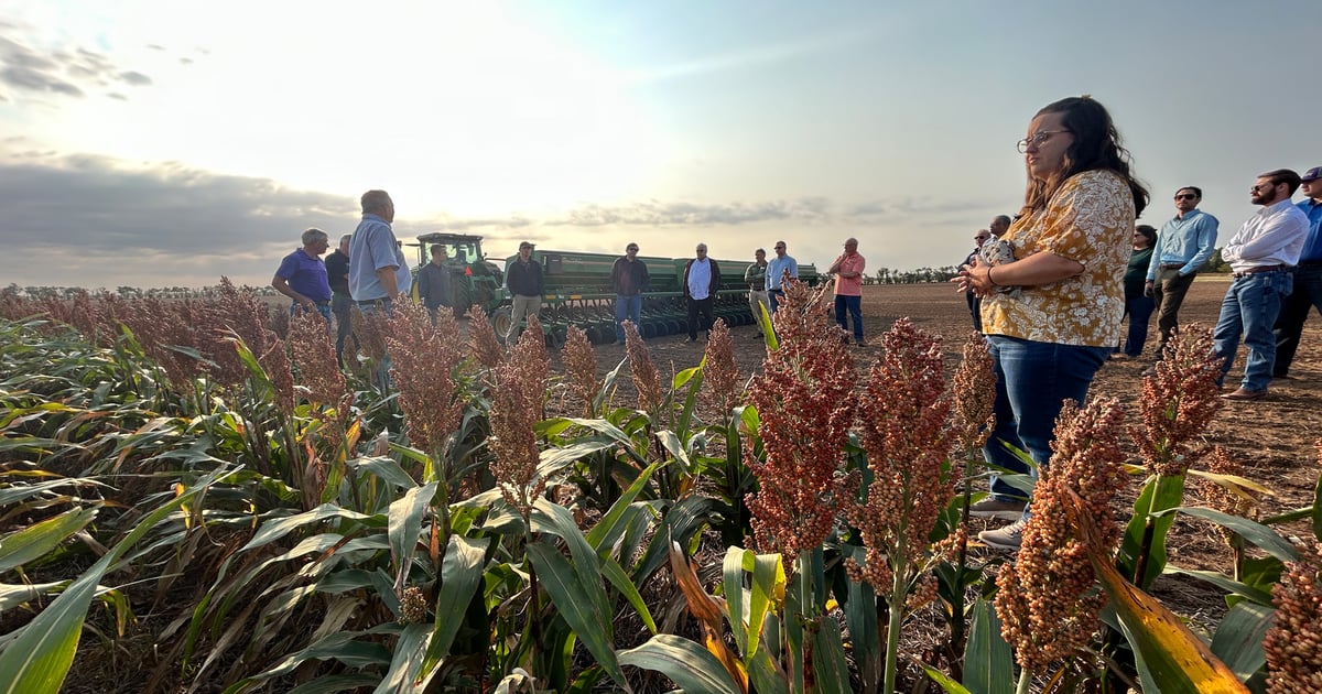 What farmers need to know about the 45Z tax incentive