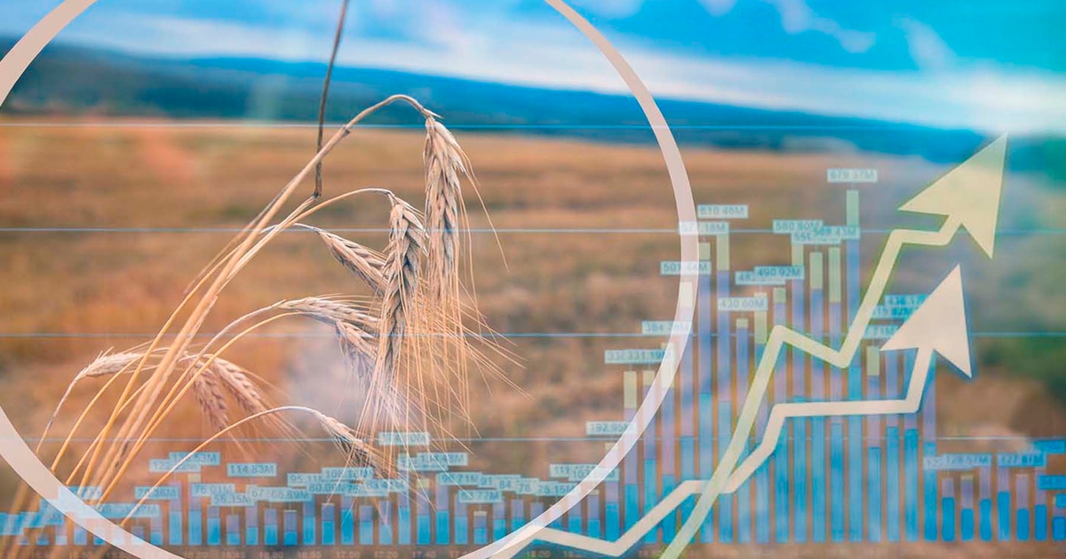 Global wheat ending stocks shrinking. Rally ahead?