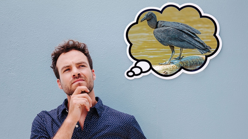  A man with a black vulture in thought bubble