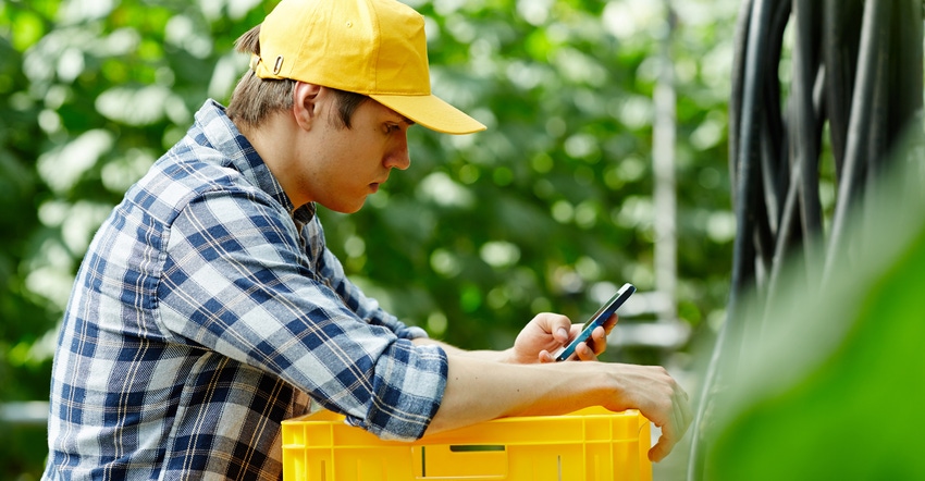 Young farmer using smartphone while leaning on vegetable crate