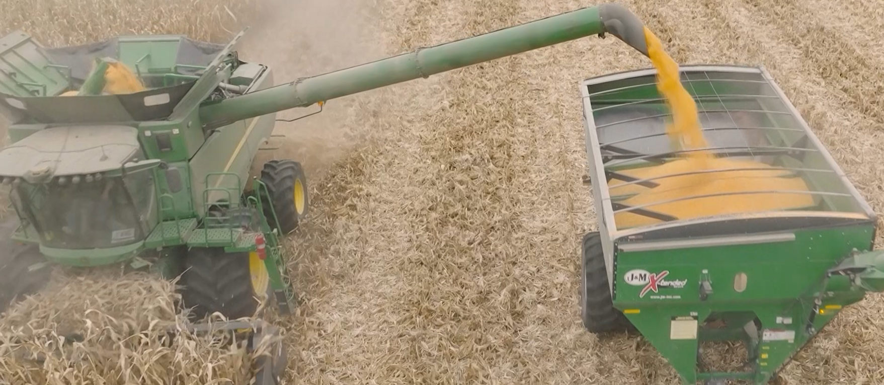 Corteva grower in Mississippi? Use these soybean variety swaps