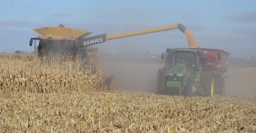 combine inf corn field at harvest time