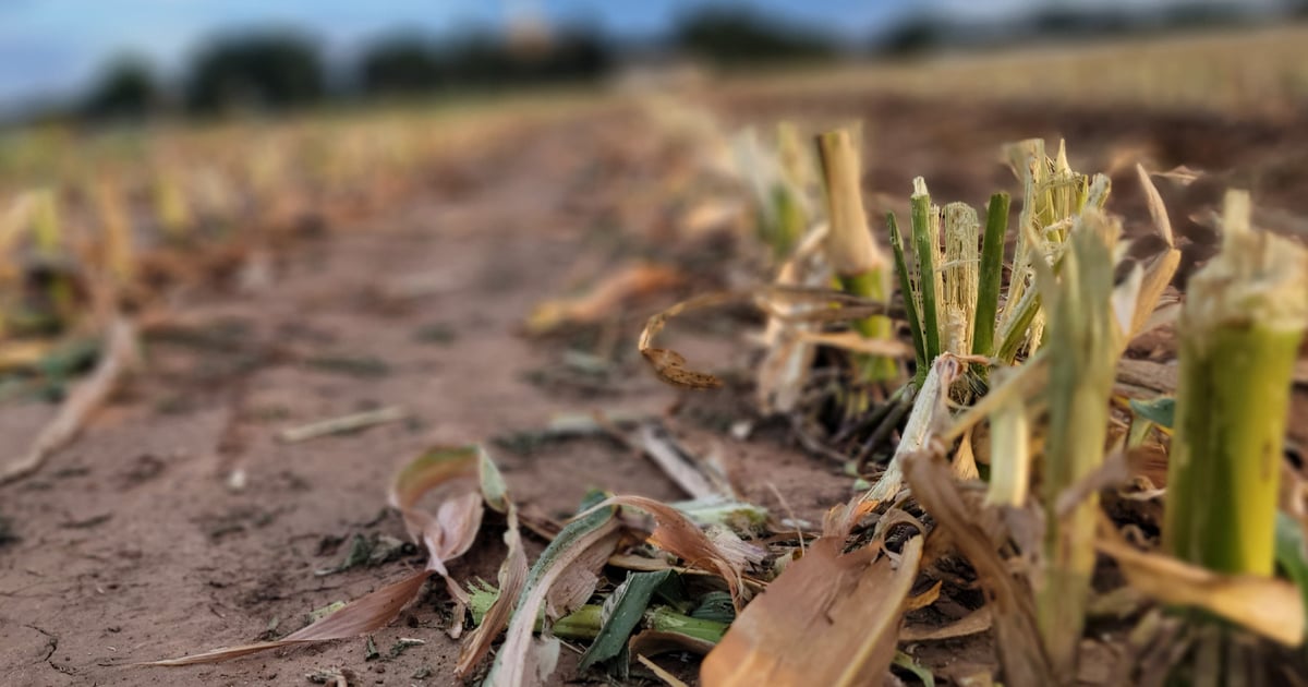 U.S. agricultural trade deficit projected for 2023