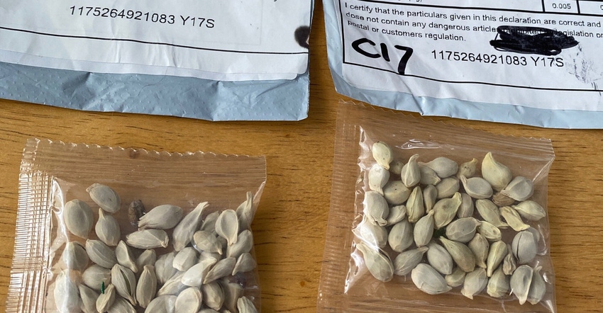 Unsolicited seeds in packages marked from China. 