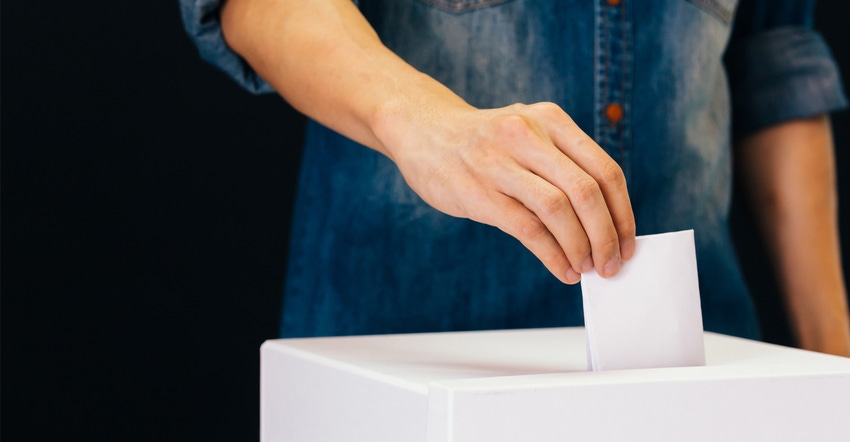 Person casting ballot vote into box