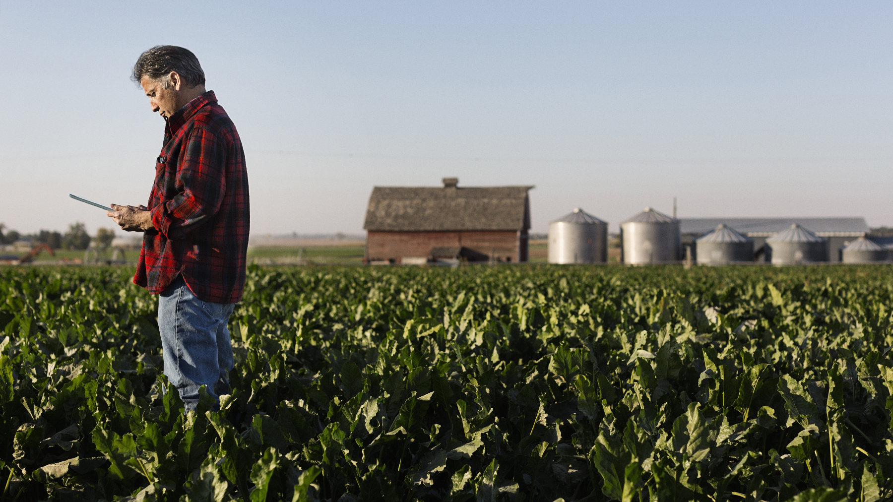 Man on ipad standing in field