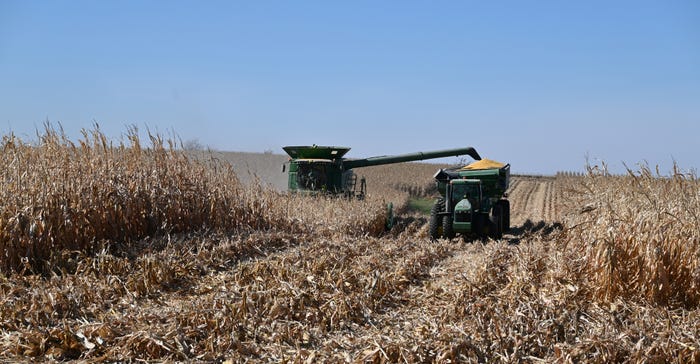 Corn being harvested