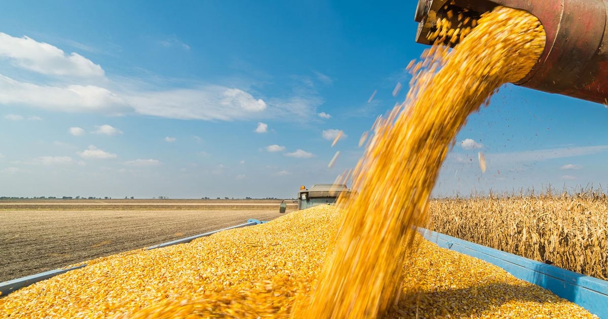 Crop Progress: Winter wheat conditions stabilize
