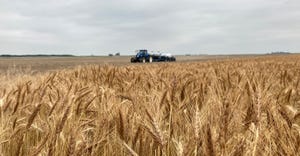 Wheat field with combine
