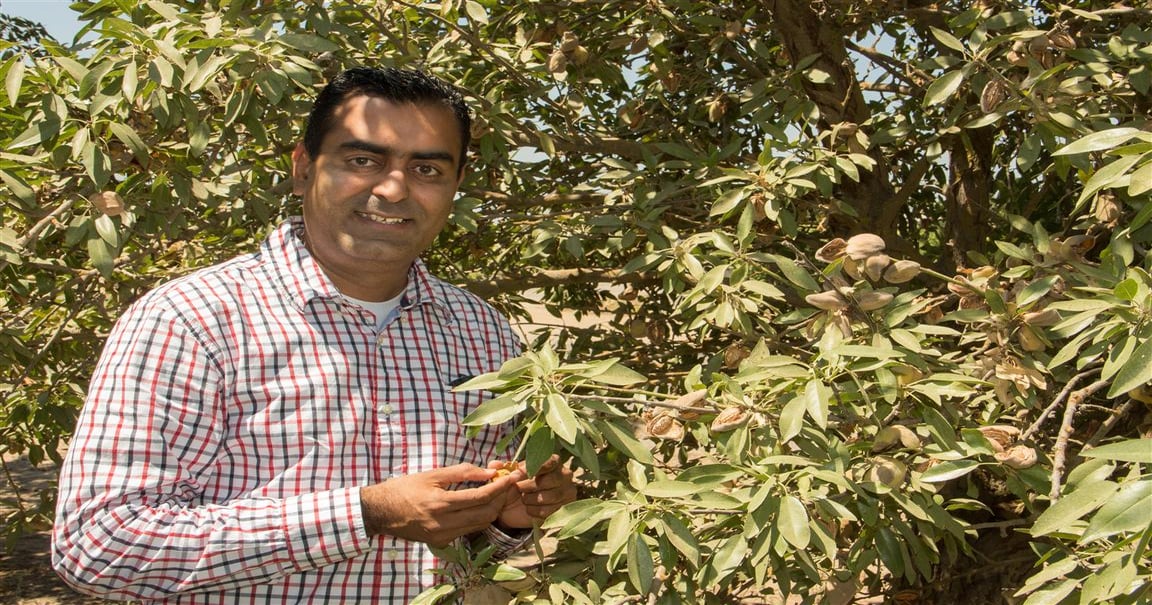 Tree nut farm advisor brings much to Fresno, Madera counties