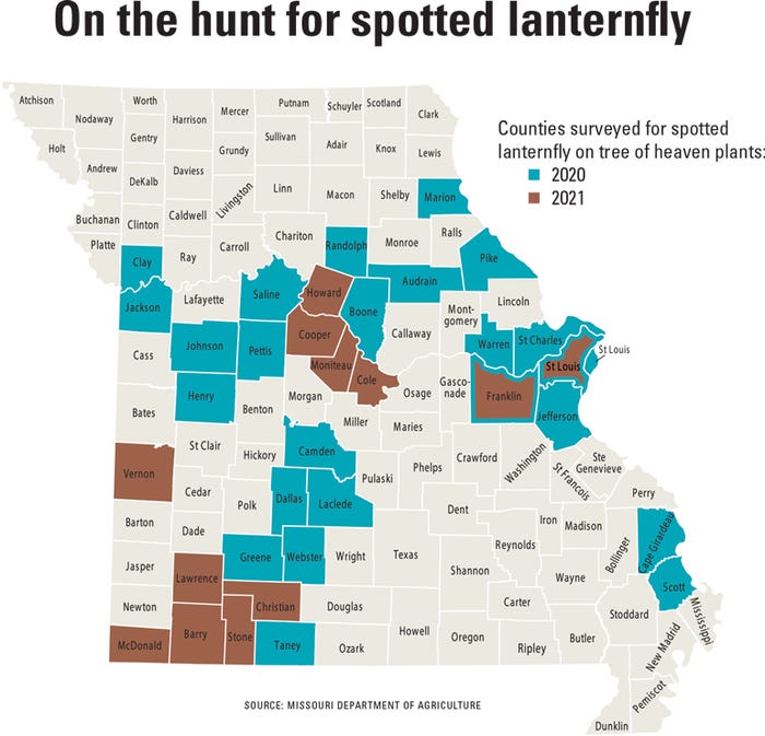 map of Missouri counties surveyed for spotted lanternflies on tree of heaven plants