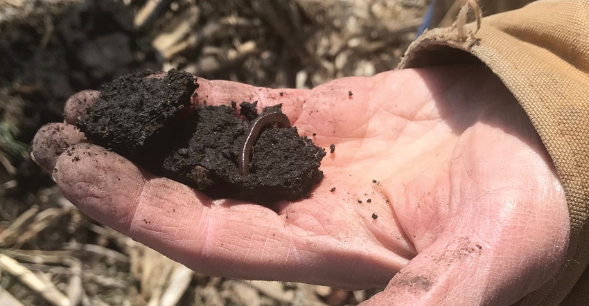 Hand holding soil