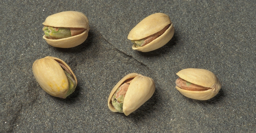TNFP1006-ARS-pistachios.jpg