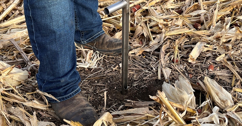 Pulling soil sample from no-till field in the fall