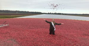 Abigail Martin standing in a cranberry bog throwing cranberries in the air