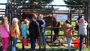 Children who attended the 2024 Morton County Ag Day interact with horses
