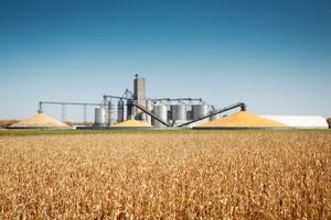 corn-soybean-stocks-174915069.jpg