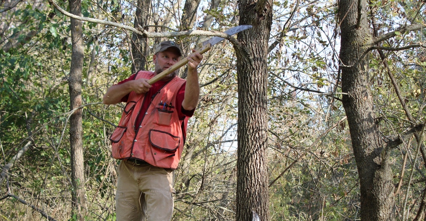 ISU horticulture professor Jeff Iles pruning trees
