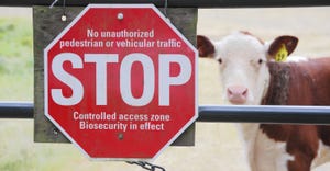 biosecurity warning sign posted on gate with cow in background