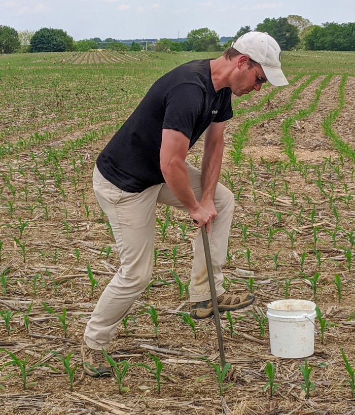 Eric Rosenbaum of Rosetree Consulting takes core samples in a corn field