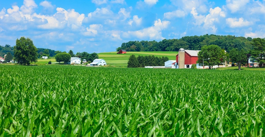 Rolling hills with farm houses and barns in the background and a corn field in the forefront